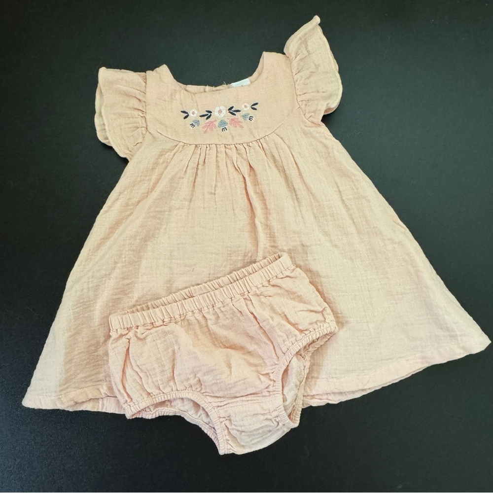 Nordstrom Peach Baby Dress with Floral Embroidery 6M